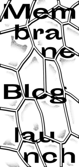 Membrane Membrane Blog launch
